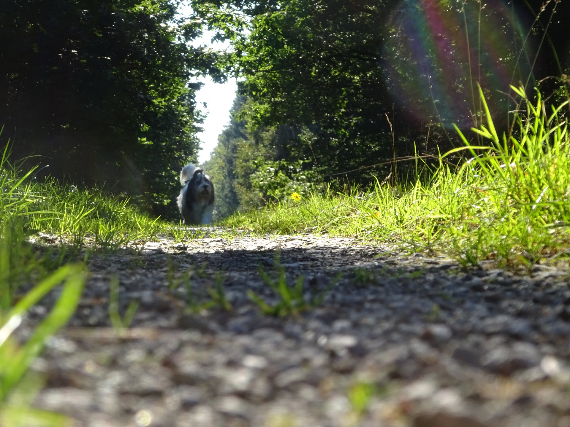 Hellere-Celi-auf-dem-Weg